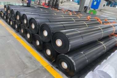 ldpe.com